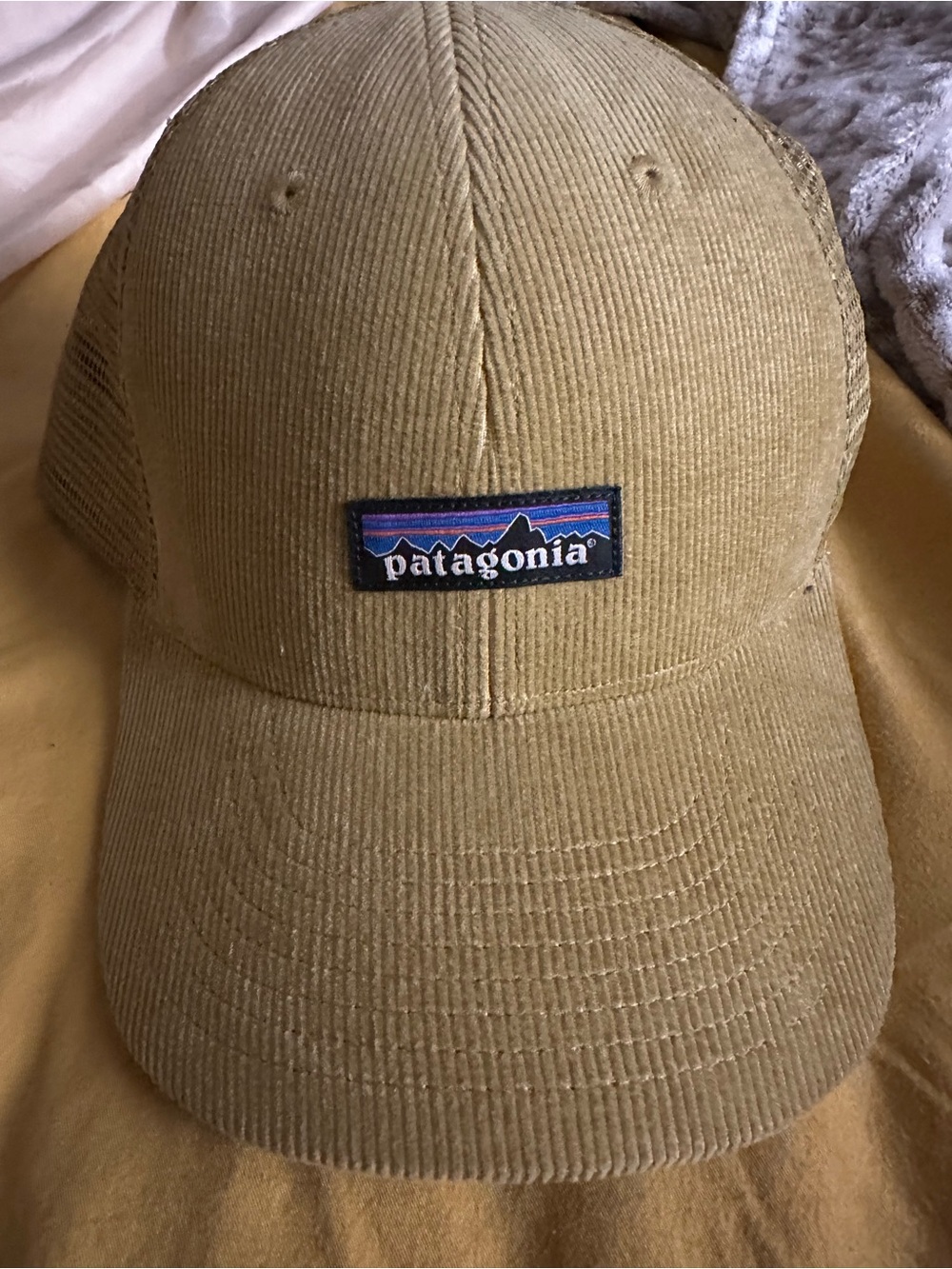 Patagonia Corduroy Trucker Cap in Tan